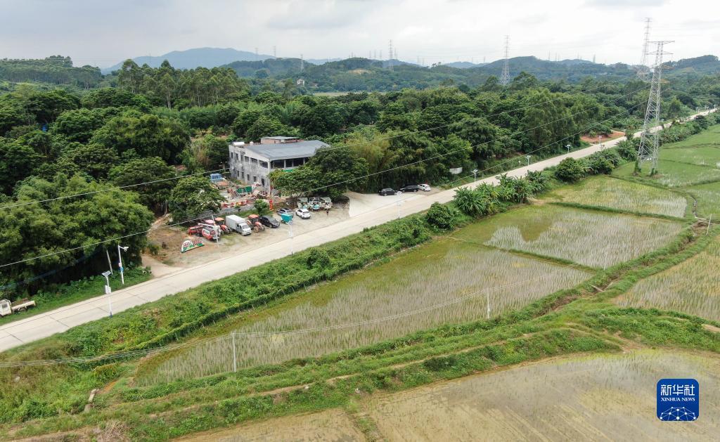 柏林平台